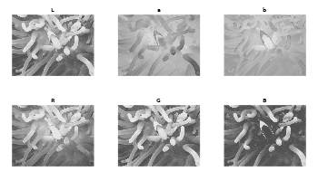 Figure 2 - Comparison of the L, a, b channels (Lab color space) with the R, G, B channels (RGB color space).