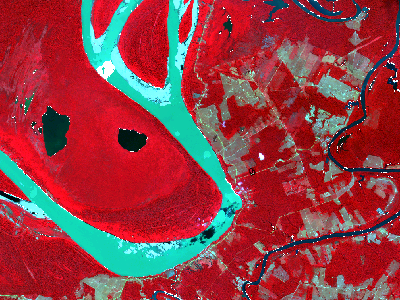 Figure 1 - A false-color composite of a Sentinel-2 scene.